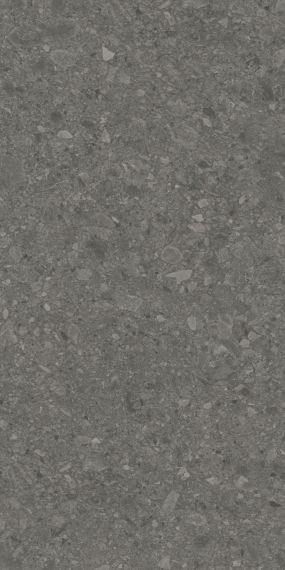 Керамогранит DD591600R Чеппо ди Гре антрацит матовый обрезной 119,5x238,5x1,1