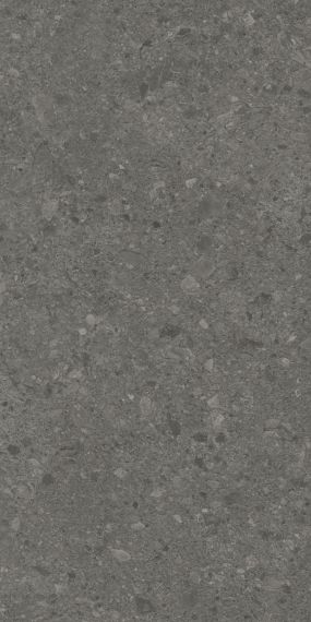 Керамогранит DD591620R Чеппо ди Гре антрацит матовый обрезной 119,5x238,5x0,9