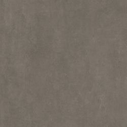 Керамогранит DD841890R Про Догана коричневый матовый обрезной 80x80x0,9