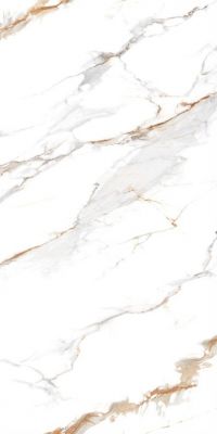 Керамогранит Delhi Polished Gold Carving 60x120