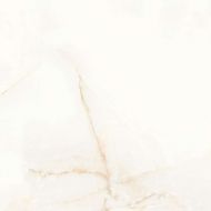 Elite Onyx Polished 60x60
