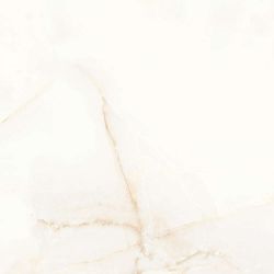 Elite Onyx Polished 60x60