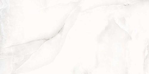 Floria Onyx Silver Polished 60x120