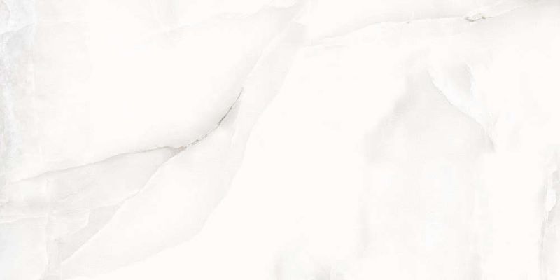 Floria Onyx Silver Polished 60x120