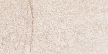 G302 Shunut Beige MR 1200x600