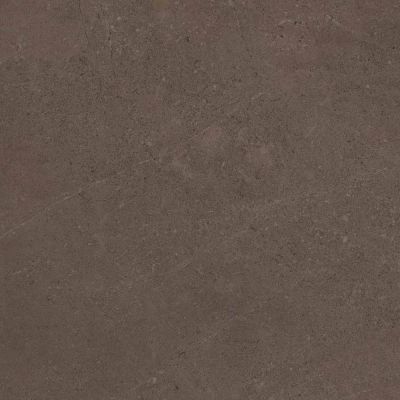 Керамогранит GO03 Gobi Brown Grey неполированный 60x60