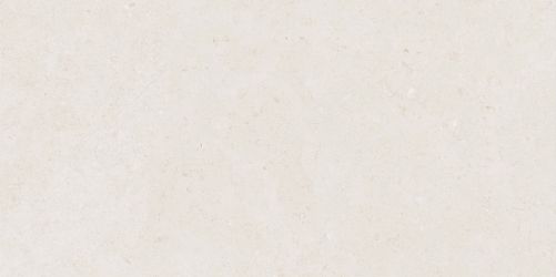 Керамогранит Mistic Light Grey Gloss 60x120