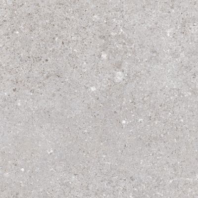 Керамогранит Nassau Gris 20x20