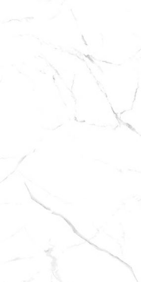 Керамогранит Oriental White 60x120