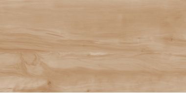 Керамогранит Paint Wood Bone Gloss 60x120