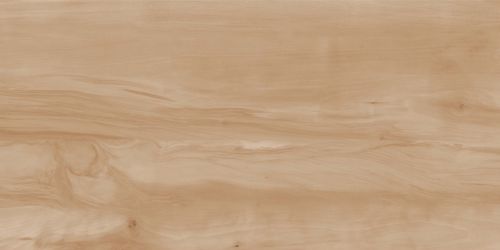 Керамогранит Paint Wood Bone Gloss 60x120