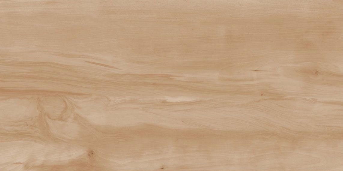 Керамогранит Paint Wood Bone Gloss 60x120