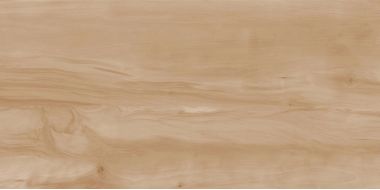 Керамогранит Paint Wood Bone Matt 60x120