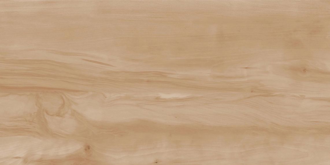 Керамогранит Paint Wood Bone Matt 60x120