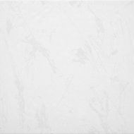 Коко Шанель ПГ3КК007/TFU03CCH007 41,8х41,8