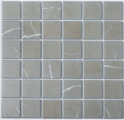 Мозаика P-508 Porcelain series 306*306