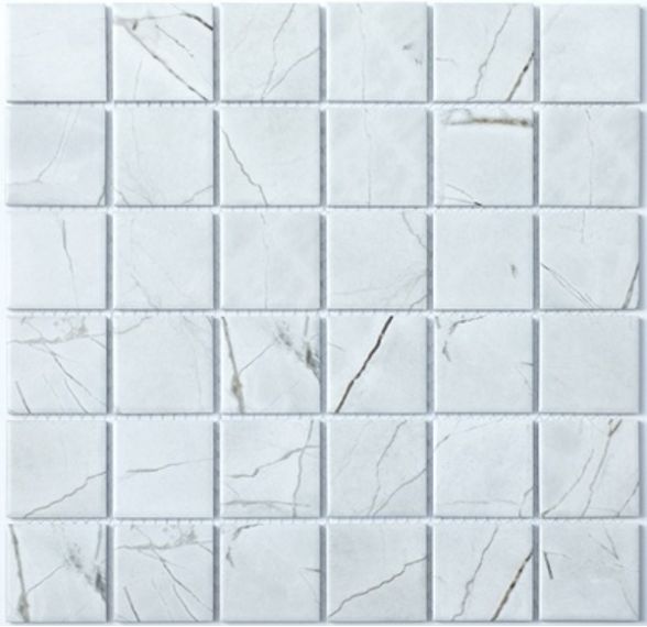 Мозаика P-509 Porcelain series 306*306
