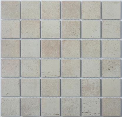 Мозаика P-511 Porcelain series 306*306