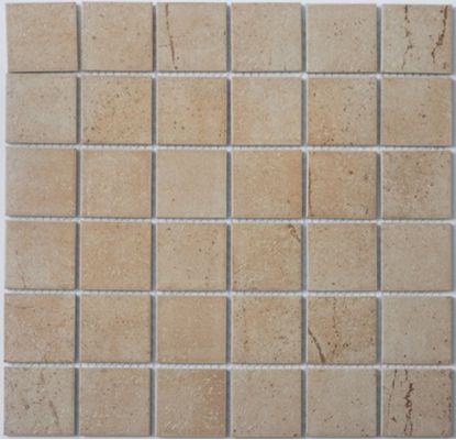 Мозаика P-512 Porcelain series 306*306
