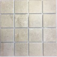 Мозаика PR7373-42 Porcelain series 306*306