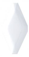 Мозаика TR-1025A керамика (100*200)77