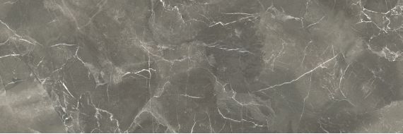 Монако 2 750х250