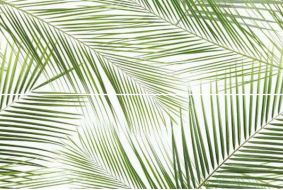 Панно Brennero Tropic (2) 50x75