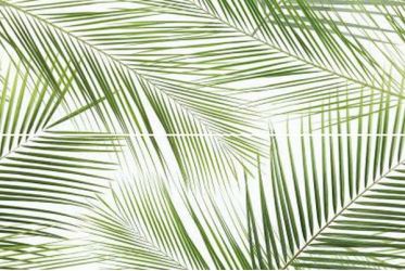 Панно Brennero Tropic (2) 50x75