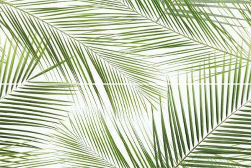 Панно Brennero Tropic (2) 50x75