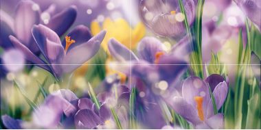 Панно Crocus P4D286 80х40