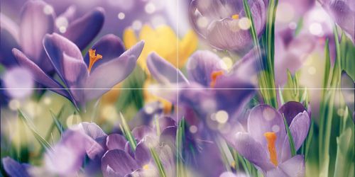 Панно Crocus P4D286 80х40
