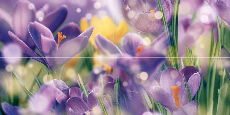 Панно Crocus P4D286 80х40