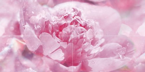 Панно Peony P4D281 80х40
