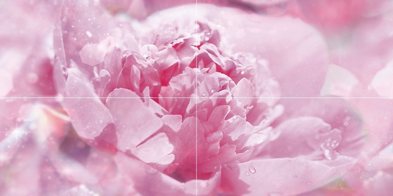 Панно Peony P4D281 80х40