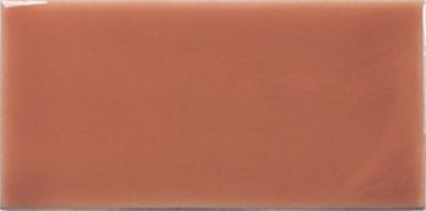 Плитка 127000 Fayenza Coral 6,25x12,5
