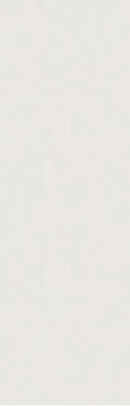 Плитка 349H Zepto Blanco 4,2x13