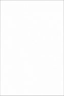 Плитка 8063 Тигр (Аджанта) белый 20x30