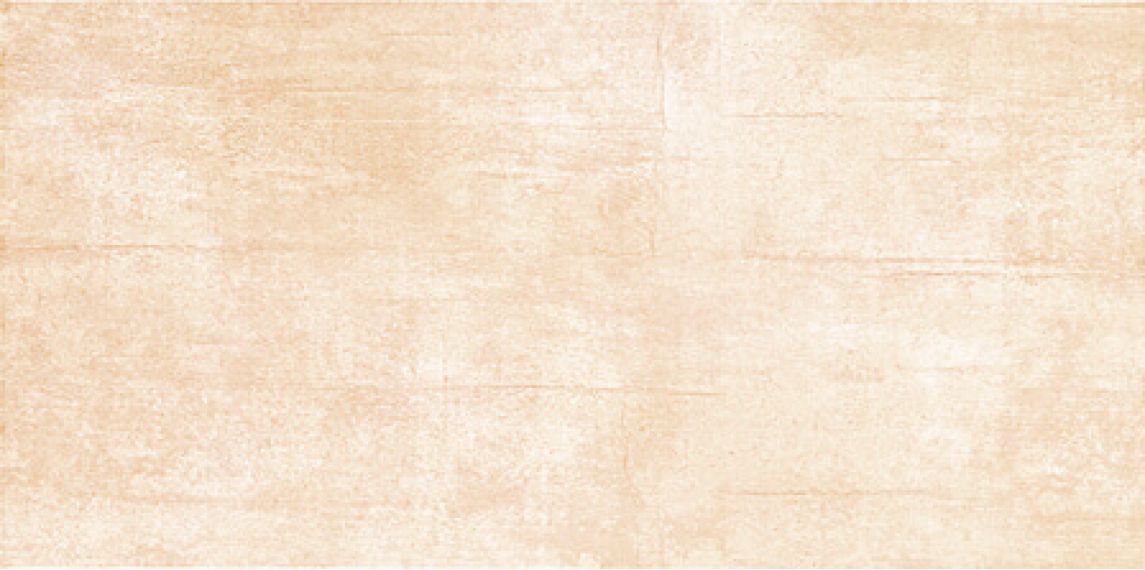 Плитка ALDEA 3 22.3х44.8