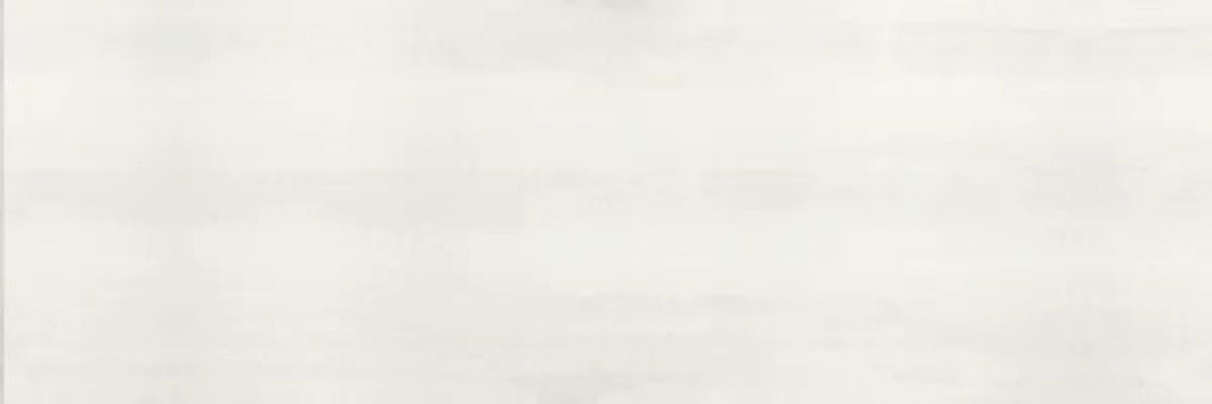 Плитка Barents Blanco 31,5x100