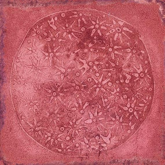 Плитка Carlo Granate-B 20x20