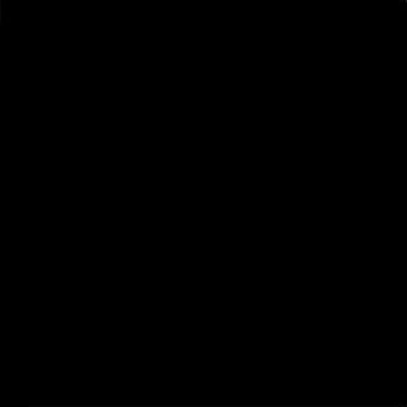Плитка Negro g.136 20x20