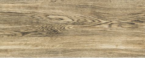 Плитка PS-01-163-0298-0748-1-007 Terrane wood brown 29,8x74,8