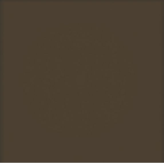Плитка Pastel Brzowy Mat 20x20