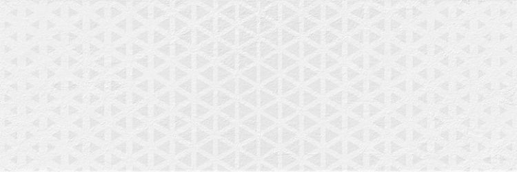 Плитка Renea Nieve 25x75