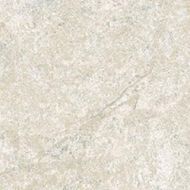 СП282 DYNASTY WHITE 20*20
