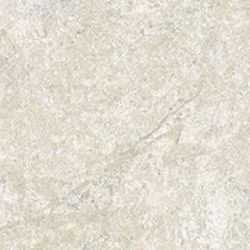 СП282 DYNASTY WHITE 20*20