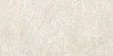 СП283 DYNASTY WHITE 20*40