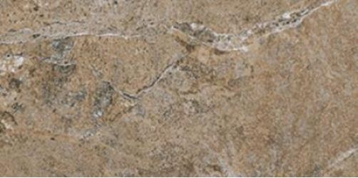 СП288 DYNASTY FOREST 20*40