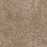 СП289 DYNASTY FOREST 40*40