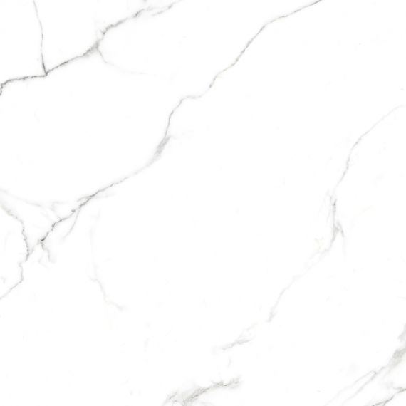 Сlassic Statuario Matt 60х60